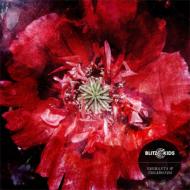 Blitz Kids/Vagrants �� Vagabonds