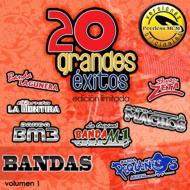Various/20 Grandes Exitos Banda 1