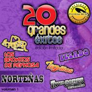 Various/20 Grandes Exitos Nortenas 1