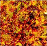 Ethiopias Rise / Bimbam