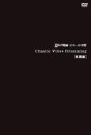 Chaotic Vibes Drumming 実践編 (DVD)