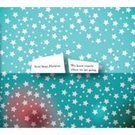 We Know Exactly Where We Are Going