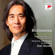 Symphonies Nos, 6, 8, Great Fugue : Nagano / Montreal Symphony Orchestra (2CD)
