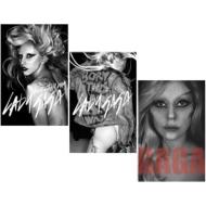 Lady Gaga Born This Way Clear File Pack