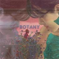 Botany/Feeling Today
