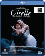 バレエ＆ダンス/Giselle(Adam)： Tsygankova J. varga Dutch National Ballet