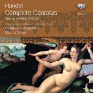 إǥ1685-1759/Complete Cantatas Vol.3 Veldhoven True(S) Vitale / Contrasto Armonico