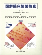 /޲׾ٶݸ