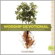 Various/Worship Devotional： November (+book)