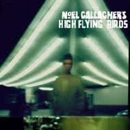 Noel Gallagher's High Flying Birds/Noel Gallagher's High Flying Birds (+dvd)(Ltd)