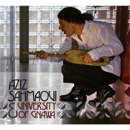 University Of Gnawa / Aziz Sahmaoui/University Of Gnawa Ft Aziz Sahmaoui