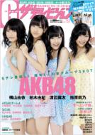 Magazine (Book)/G(グラビア)ザ・テレビジョン Vol.19 カドカワムック