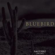 Bluebird/Saguaro (1995-2003)