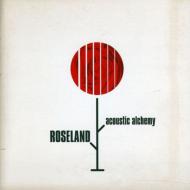 Acoustic Alchemy/Roseland