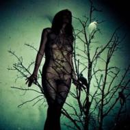 An Ache For The Distance