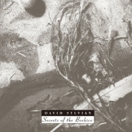 Secrets Of The Beehive : David Sylvian | HMV&BOOKS online - TOCP-54288