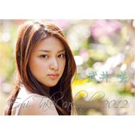 武井咲/武井咲 / 2012年卓上