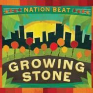 Nation Beat/Growing Stone