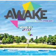 Awake Summer Break 2011
