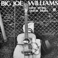 Big Joe Williams/9 String Guitar Blues