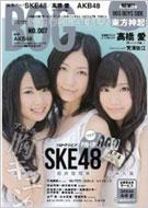 Magazine (Book)/Artist File Big One Girls Vol.7 Screen特編版