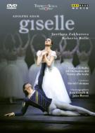 バレエ＆ダンス/Giselle(Adam)： Zakharova Bolle D'amato Romagna Scala Ballet