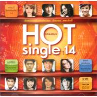 Various/Hot Single 14