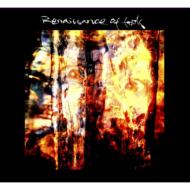 Renaissance Of Fools