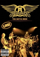 Aerosmith/You Gotta Move (+cd)(Ltd)