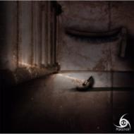 Amaryllis / Cosmos [Type B]