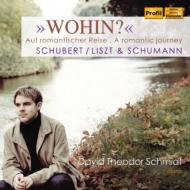 シューベルト（1797-1828）/(Liszt)wohin!-lieder： D. t.schmidt(P) +schumann： Kreisleriana