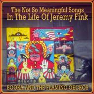 Booka  The Flaming Geckos/Not So Meaningful Songs In The Life Of Jeremy Fink