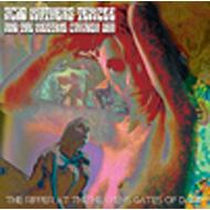 Acid Mothers Temple  The Melting Paraiso UFO/Ripper At The Heaven's Gates Of Dark (Ltd)