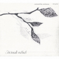 Sakanoshita Norimasa (βŵ)/Actual Relief