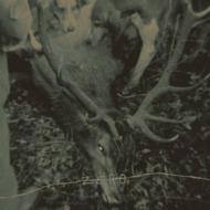 Hungry Dogs (In The Backyard)