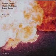 Thomas Sauter / Daniel Schlaeppi/Wonderland