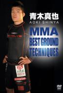 Aoki Shinya Mma Best Ground Techniques