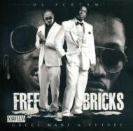 Free Bricks