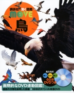Dvd�t �� �u�k�Ђ̓����}��move