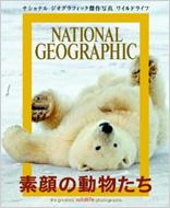 �f��̓������� ���C���h���C�t