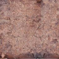 Consecration Of The Whipstain