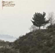 Simple Work For The Dead