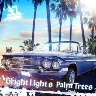 XL Middleton/Bright Lights Palm Trees