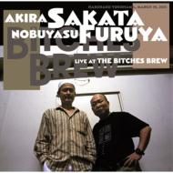 Live At Bitches Brew