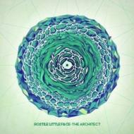 Hostile Little Face/Architect
