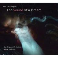 Adam Rudolph/Go Organic Orchestra - Can You Imagine The Sound