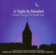 Night In Istanbul