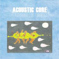 Acoustic Core