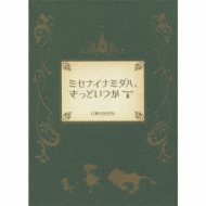 Misenai Namida wa, Kitto Itsuka (+DVD)[First Press Limited with Picture Book]