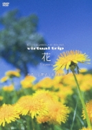 virtual trip  Flowers lG̎R쑐ƍRA
